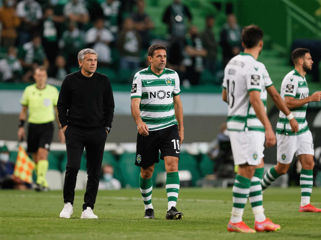 例不仅展示 例不仅展示